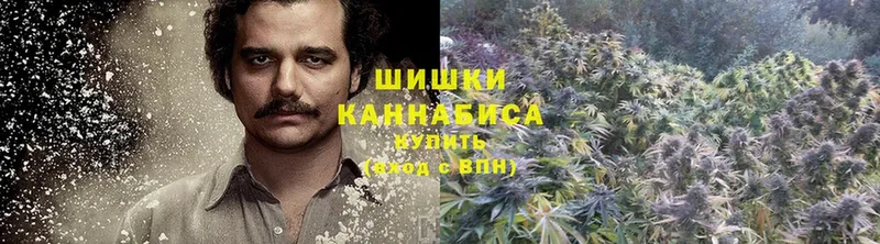 Шишки марихуана Bruce Banner  Верхний Уфалей 